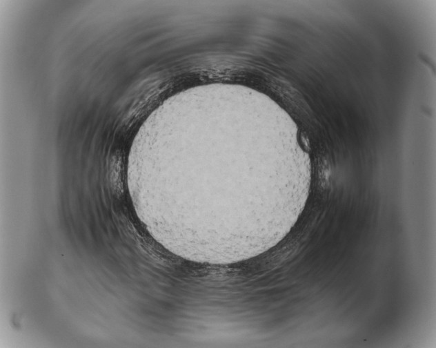 X0000102261060200808221410