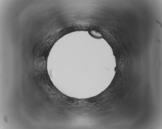 X0000102261061200808221410