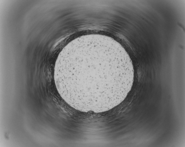 X0000102261064200808221410