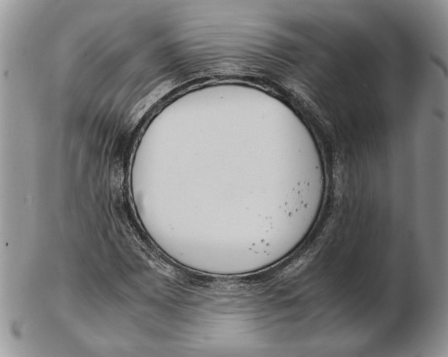 X0000102261065200808221410