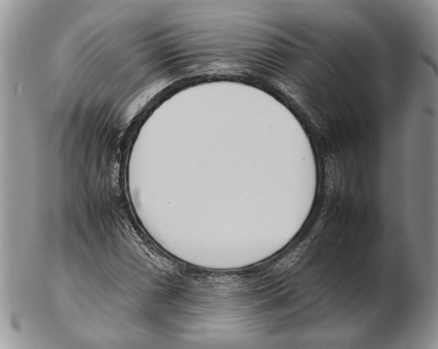 X0000102261066200808221410