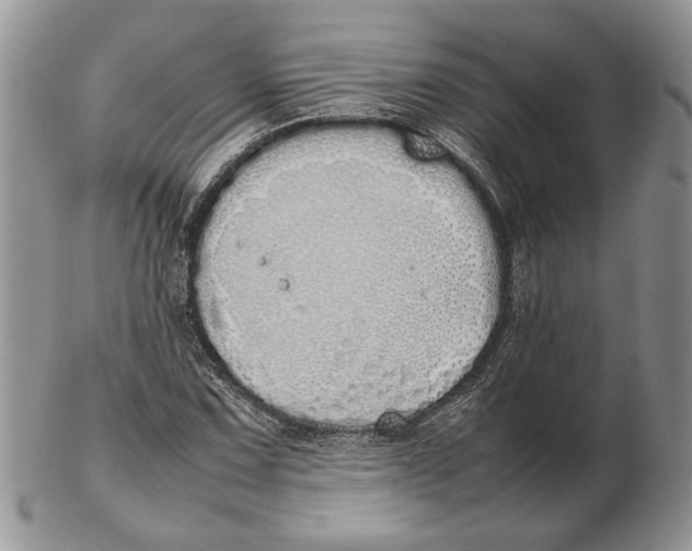 X0000102261067200808221410
