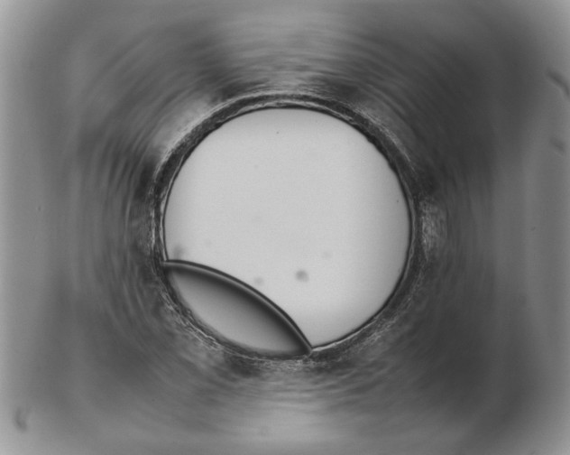 X0000102261069200808221410