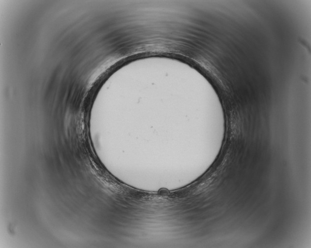 X0000102261070200808221410