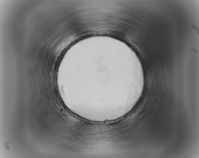 X0000102261071200808221410