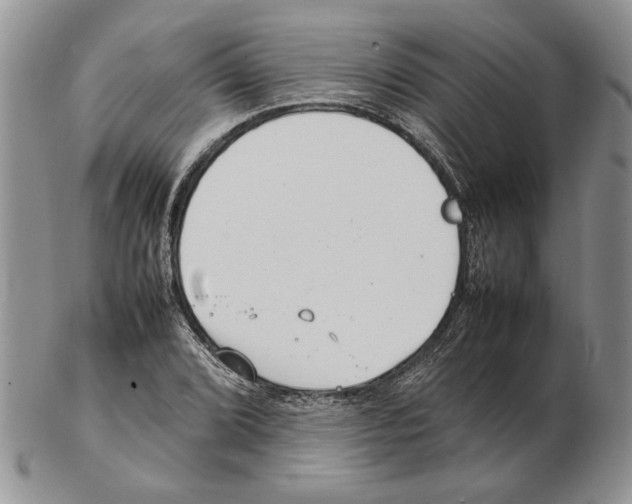 X0000102261072200808221410