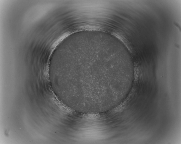 X0000102261074200808221410