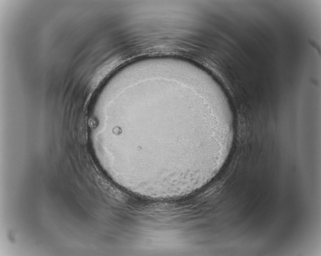 X0000102261075200808221410