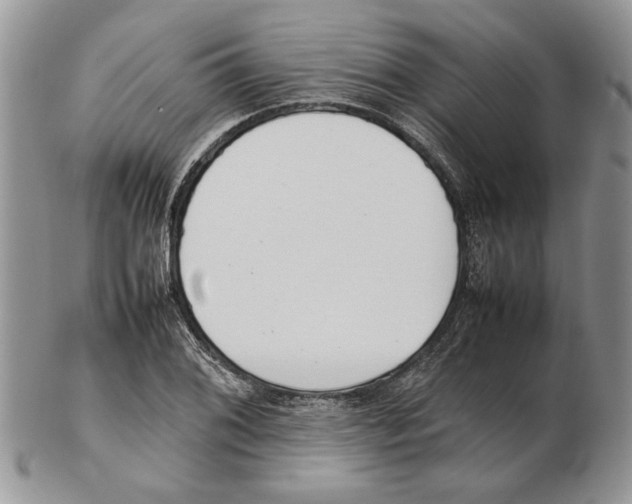 X0000102261076200808221410
