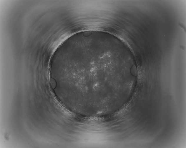 X0000102261077200808221410