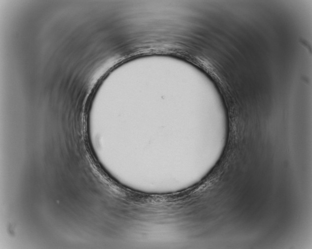 X0000102261079200808221410