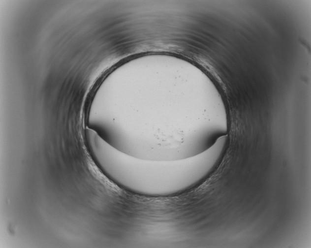 X0000102261080200808221410