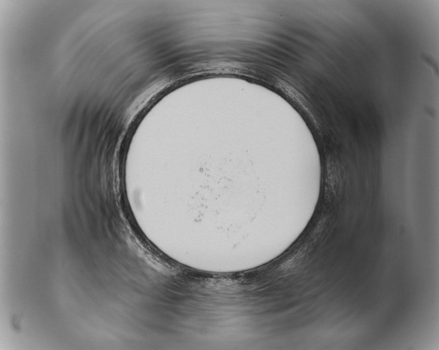 X0000102261082200808221410