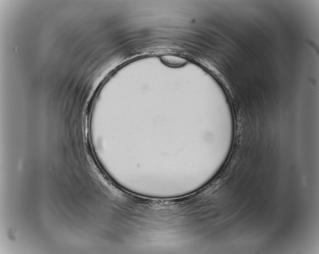 X0000102261083200808221410