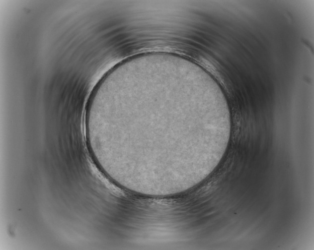 X0000102261084200808221410