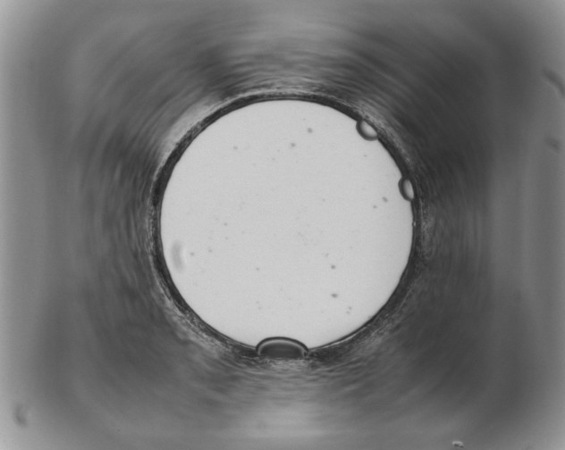 X0000102261085200808221410