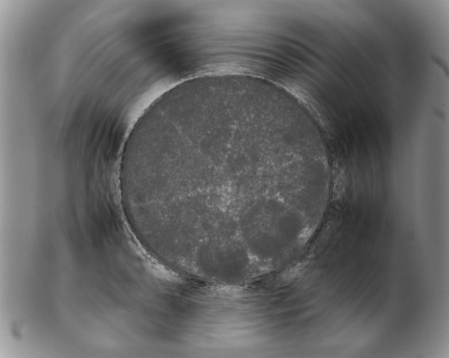 X0000102261086200808221410