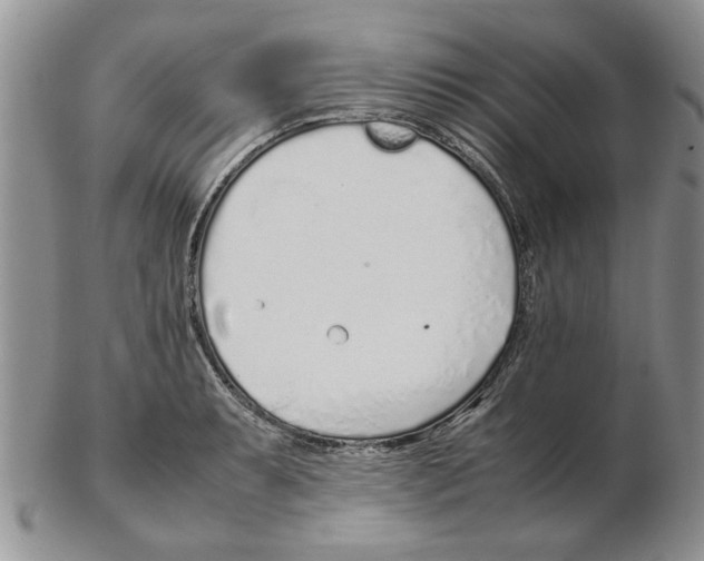 X0000102261087200808221410