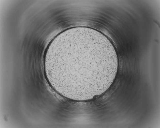X0000102261088200808221410