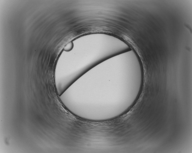 X0000102261089200808221410