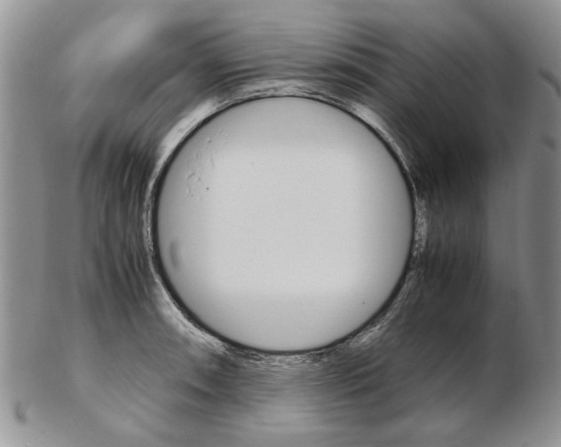 X0000102261090200808221410