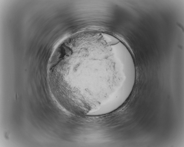X0000102261091200808221410