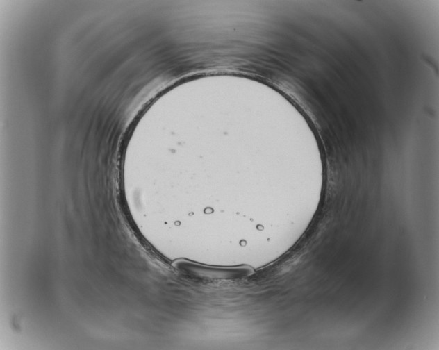 X0000102261093200808221410