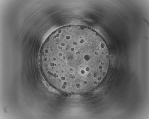 X0000102261094200808221409