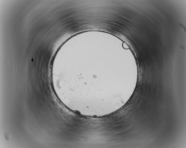 X0000102261096200808221409