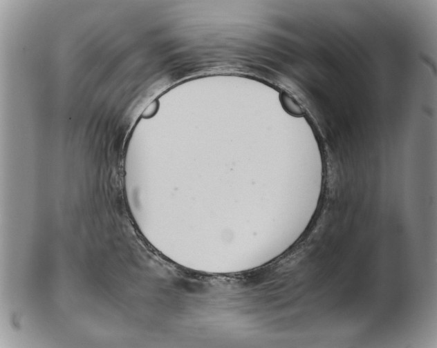 X0000102261097200808221409