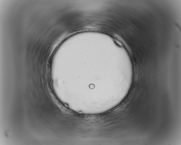 X0000102261099200808221409