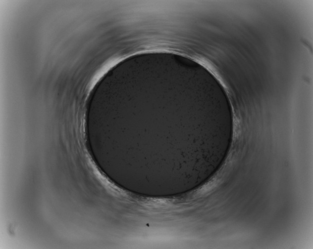 X0000102261101200808221409