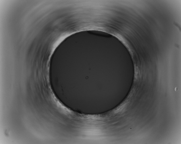 X0000102261102200808221409