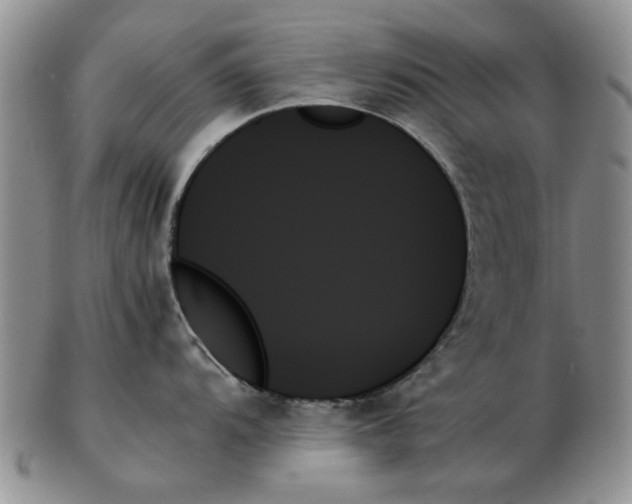 X0000102261104200808221409