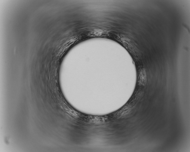 X0000102261105200808221409