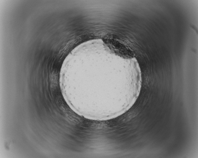 X0000102261106200808221409