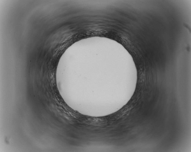 X0000102261109200808221409