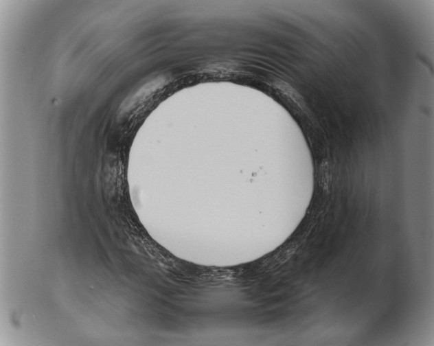 X0000102261111200808221409
