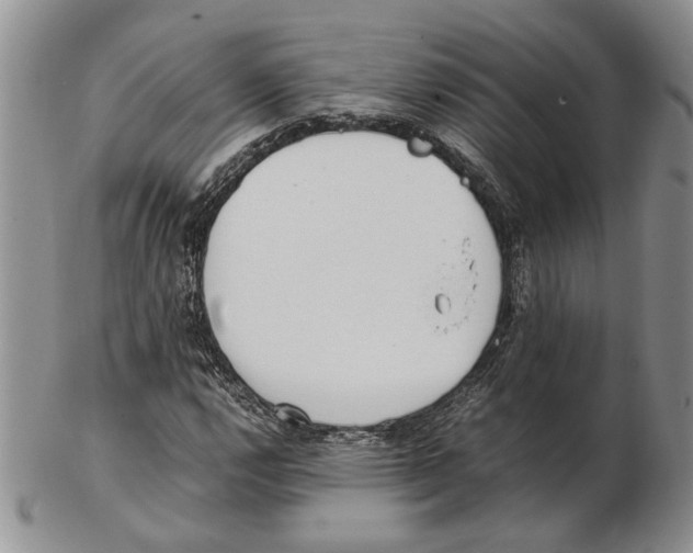 X0000102261112200808221409