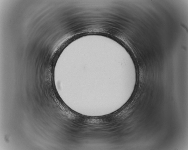 X0000102261115200808221409