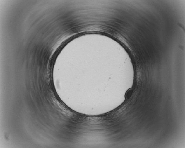 X0000102261116200808221409