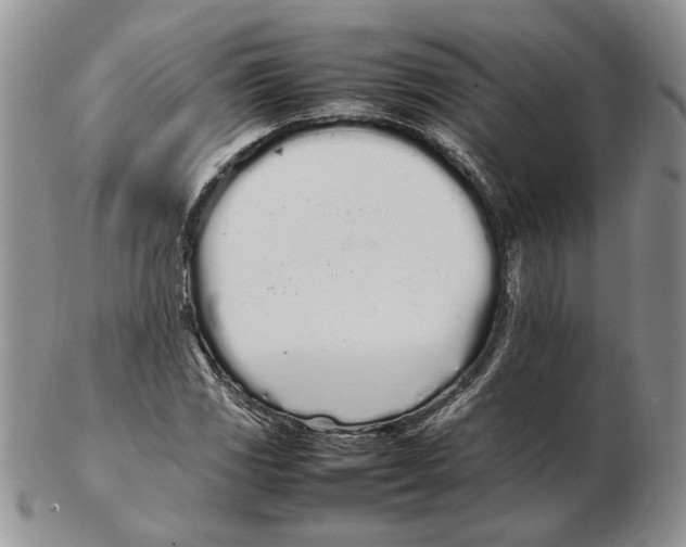 X0000102261117200808221409