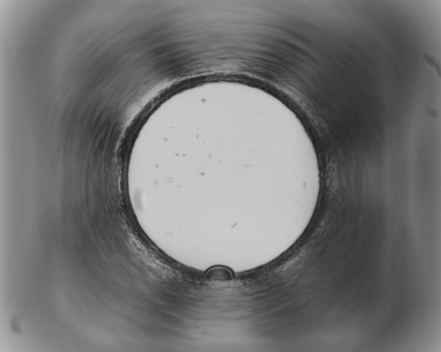 X0000102261118200808221409