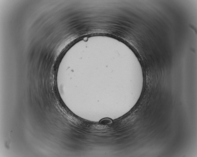 X0000102261119200808221409