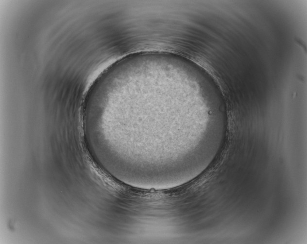 X0000102261120200808221409