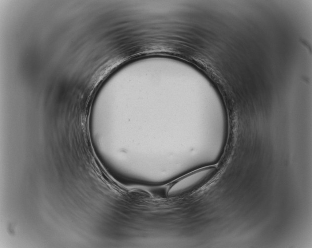 X0000102261121200808221409