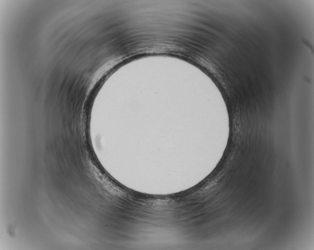 X0000102261122200808221409