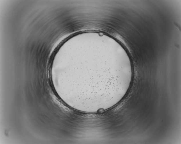 X0000102261124200808221409