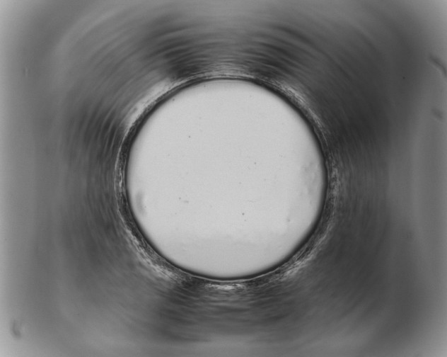 X0000102261125200808221409