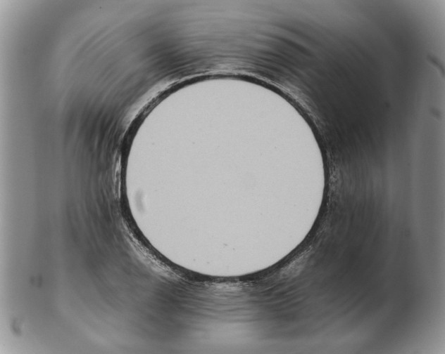 X0000102261126200808221409